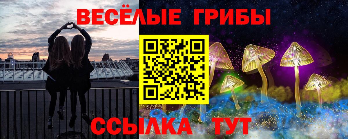 Красногорск  Галлюциногенные грибы мицелий  Галлюциногенные грибы ЛСД  Вход с VPN 